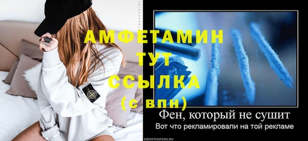 амф Ладушкин