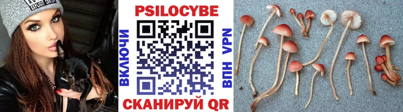 Галлюциногенные грибы Psilocybe  Челябинск 